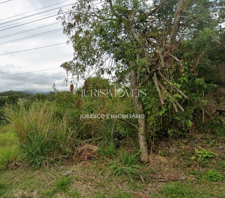 Lote/Terreno em São José - Forquilhas