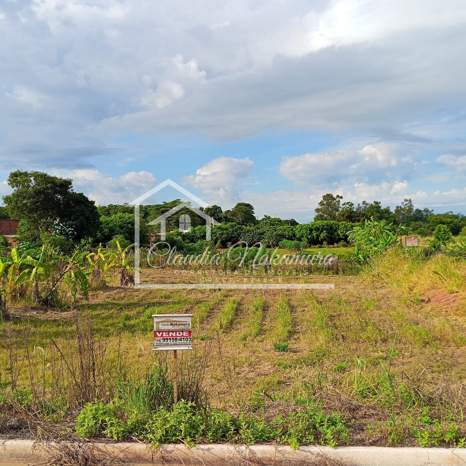 Lote/Terreno em Lavínia - Centro