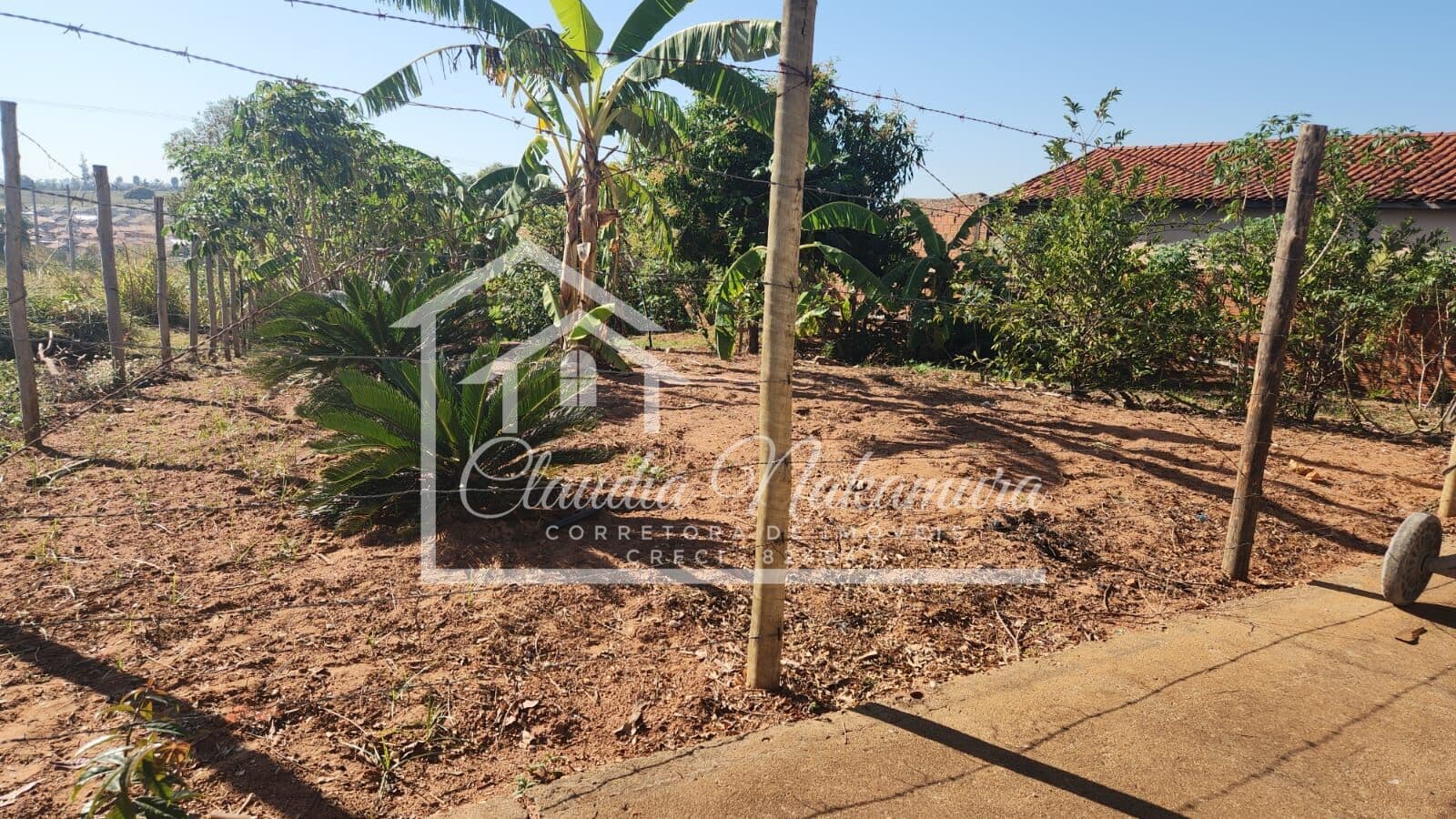 Lote/Terreno em Mirandópolis - Jardim Santa Rosa