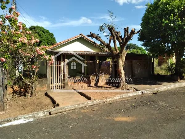 Fazenda/Sítios/Chácaras em Lavínia - Centro