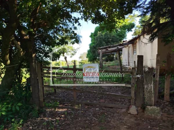 Fazenda/Sítios/Chácaras em Mirandópolis - Ribeirão Claro