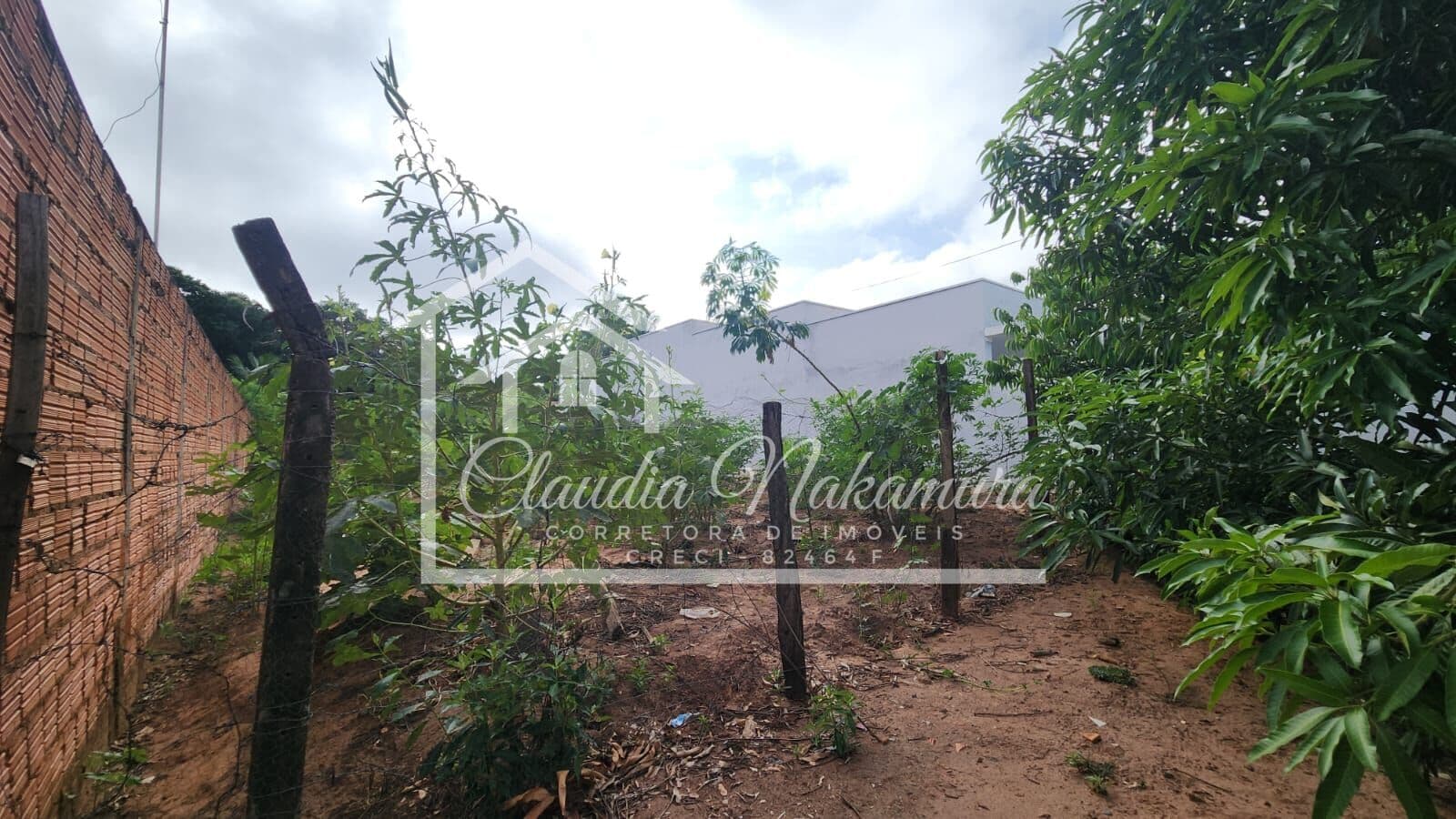 Lote/Terreno em Mirandópolis - São João da Saudade