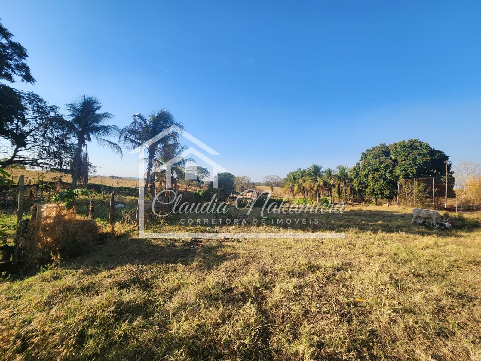 Fazenda Santa Lina