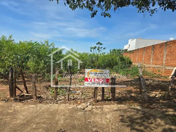 Lote/Terreno em Mirandópolis - Parque Residencial Sunada