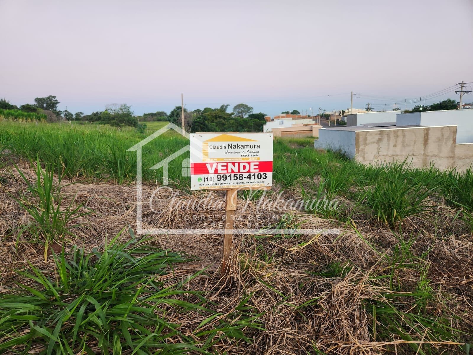 Lote/Terreno em Mirandópolis - Parque das Palmeiras