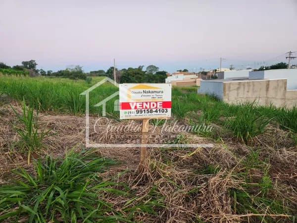 Lote/Terreno em Mirandópolis - Parque das Palmeiras
