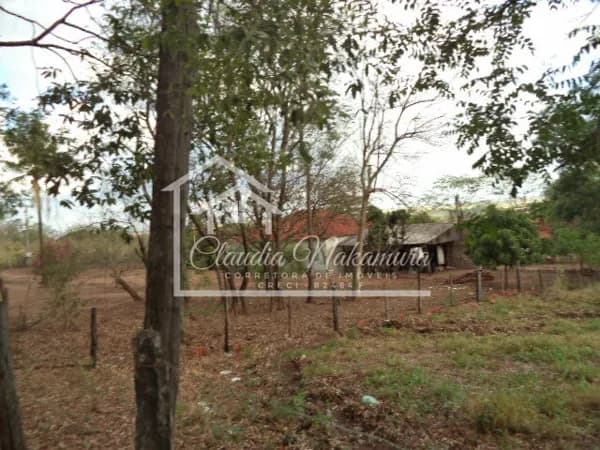 Fazenda/Sítios/Chácaras em Lavínia - Centro
