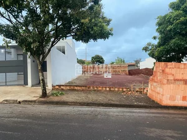 Rua Dr. Derly Ribeiro