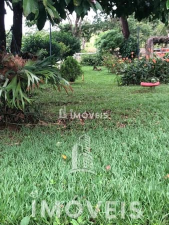 Fazenda/Sítios/Chácaras em Formosa - Centro