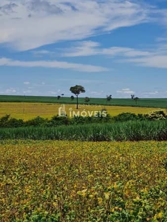 Fazenda/Sítios/Chácaras em Formosa - Centro