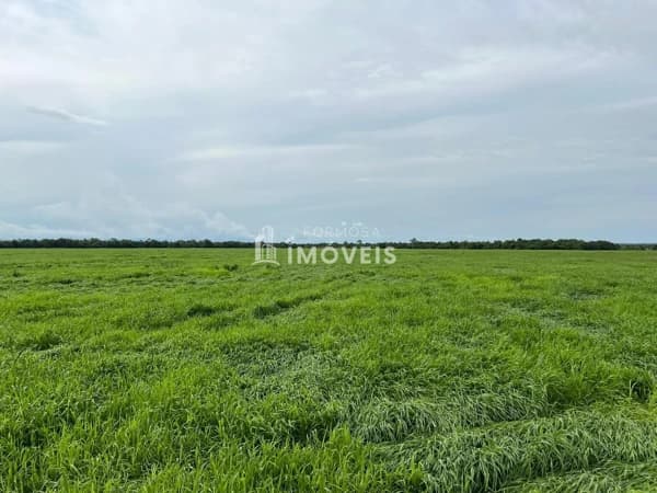 Fazenda/Sítios/Chácaras em Formosa - Centro