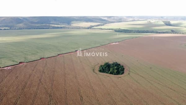 Fazenda/Sítios/Chácaras em Formosa - Centro