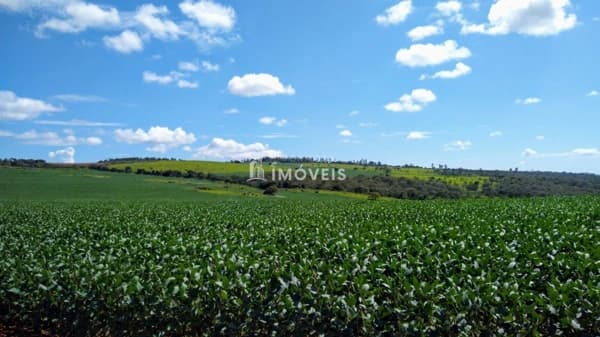 Fazenda/Sítios/Chácaras em Formosa - Centro