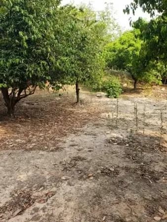 Terreno à venda no bairro Recanto Campestre Viracopos Gleba 2 em Indaiatuba/SP
