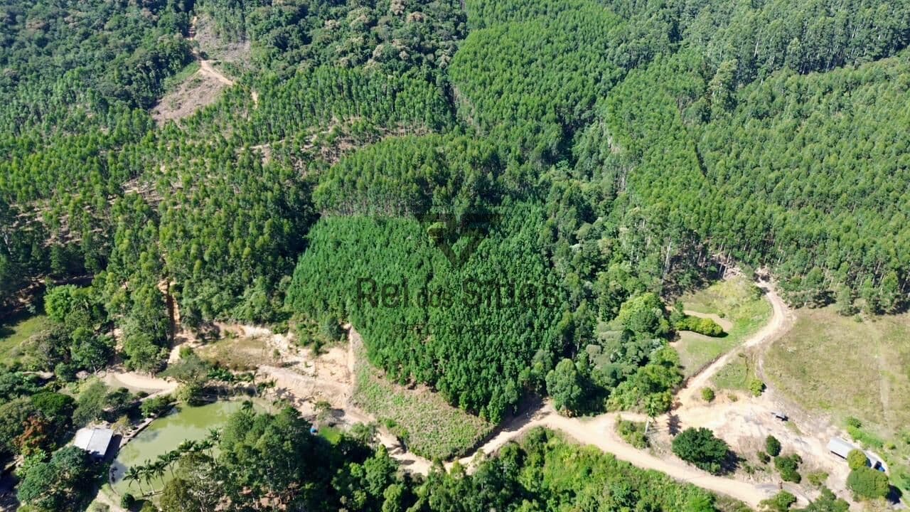 Terreno para Sítio Sem Benfeitorias