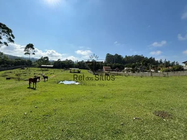 Sítio à venda no bairro Dalbérgia em Ibirama/SC
