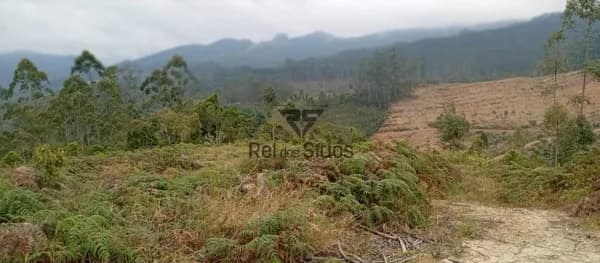 Terreno Rural para Sítio!