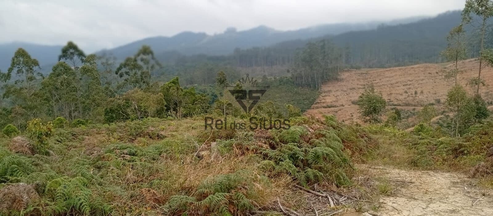 Terreno Rural para Sítio!
