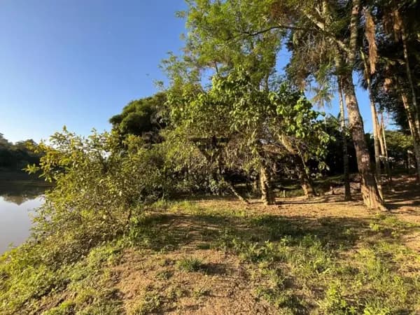Casa à venda no bairro Dalbérgia em Ibirama/SC