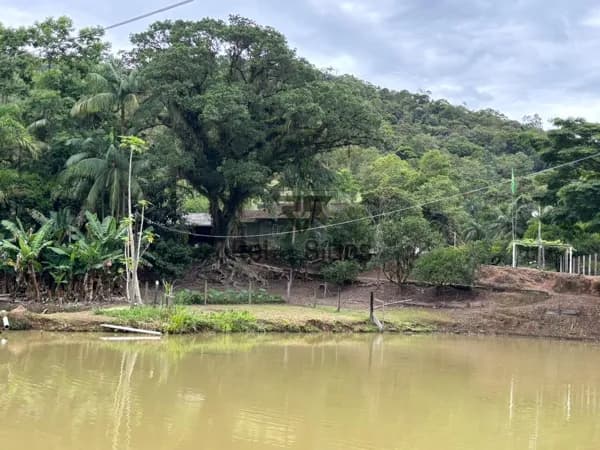 Fazenda/Sítios/Chácaras em Ascurra - Consulte