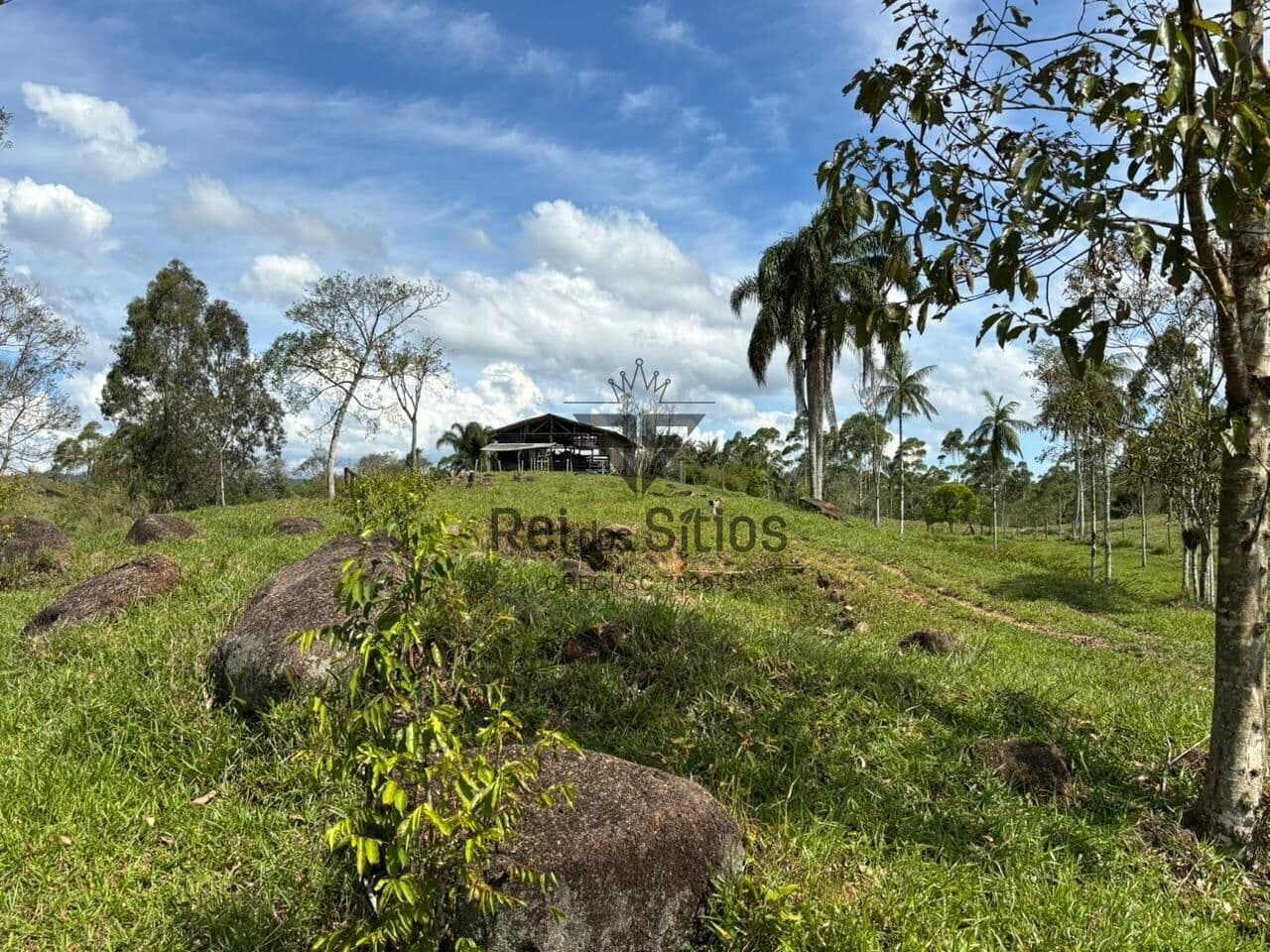 Fazenda/Sítios/Chácaras em Lontras - Consulte