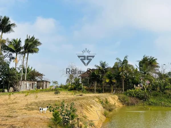Fazenda/Sítios/Chácaras em Ibirama - Dalbérgia