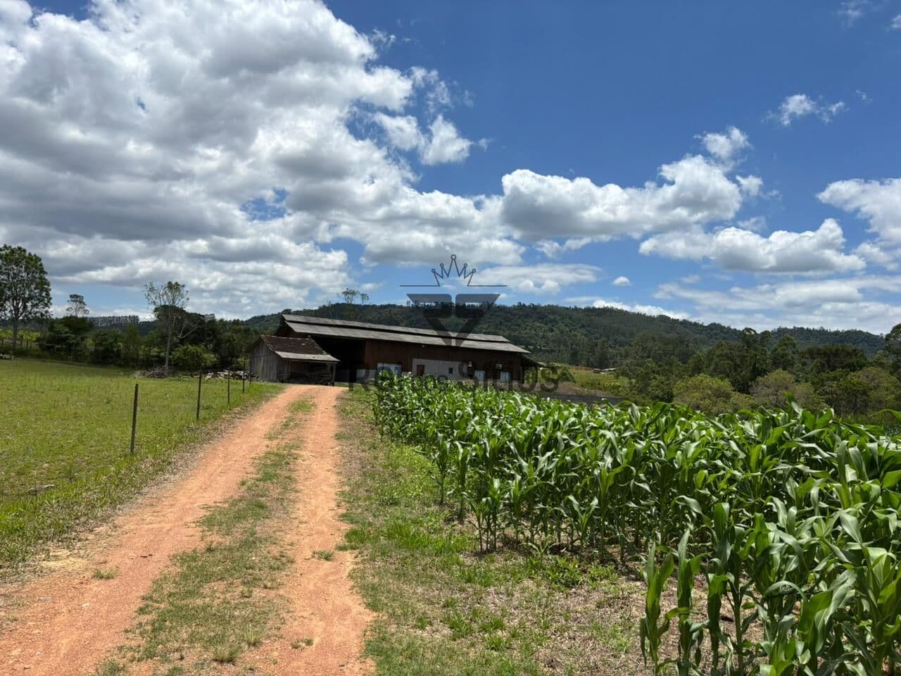 Fazenda/Sítios/Chácaras em Ibirama - Dalbérgia