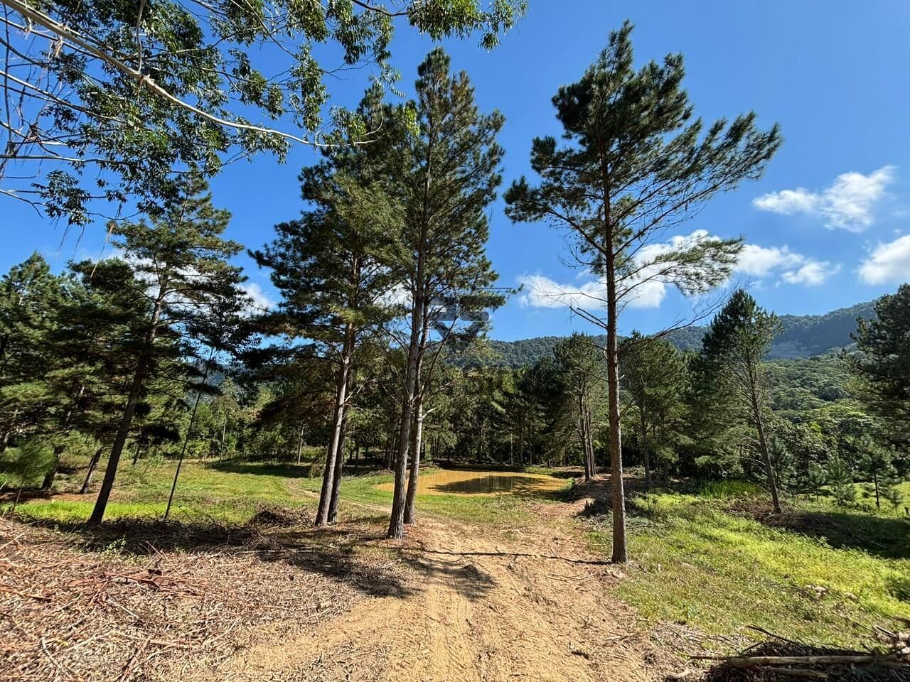 Terreno Rural para Chácara!
