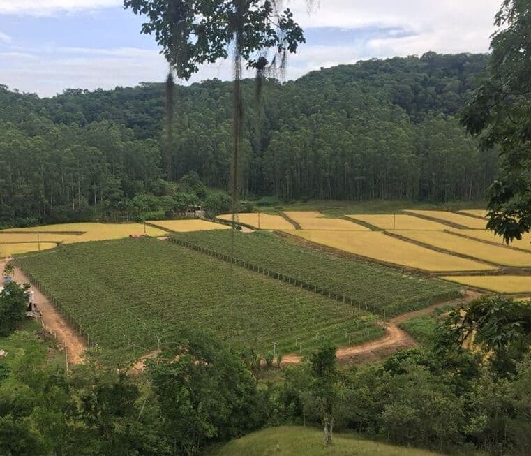 Terreno Rural para Chácara!