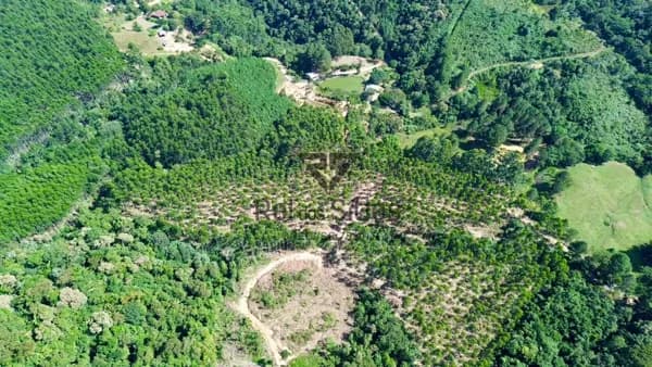 Terreno Rural para Sítio Sem Benfeitorias
