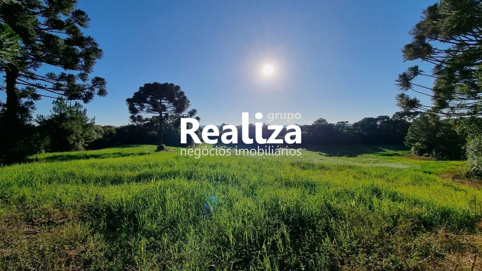 Fazenda/Sítios/Chácaras em Caxias do Sul - Vila Oliva