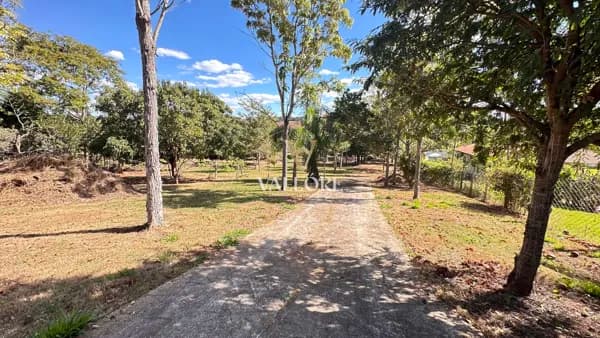 Chácara 7.158,89 m² com acesso ao Ribeirão - Condomínio – Nova Veneza/GO