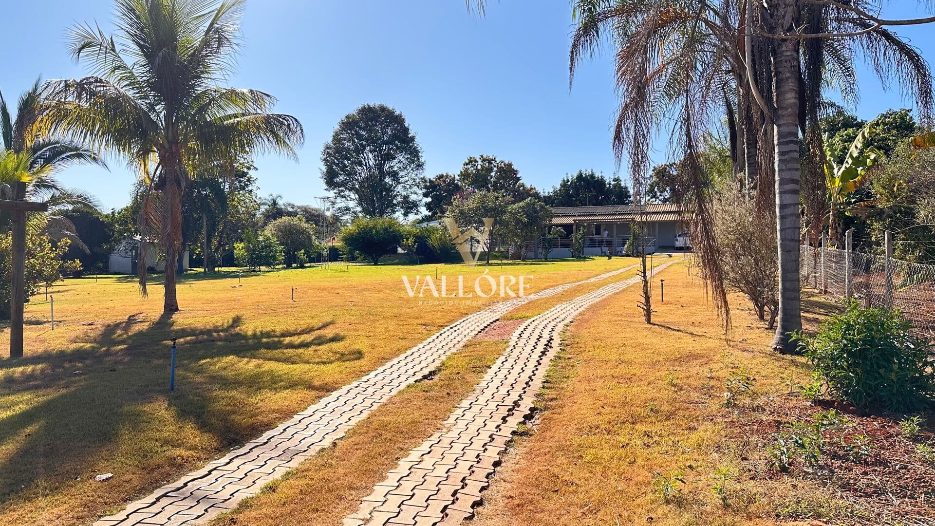 Chácara 5.000m² Mobiliada com Piscina Aquecida e Pomar - GO