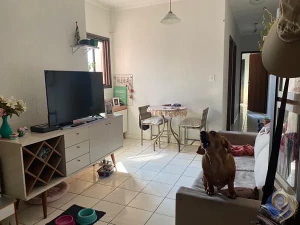 Apartamento Padrão 67m2 - Vila Pires - Santo André - SP