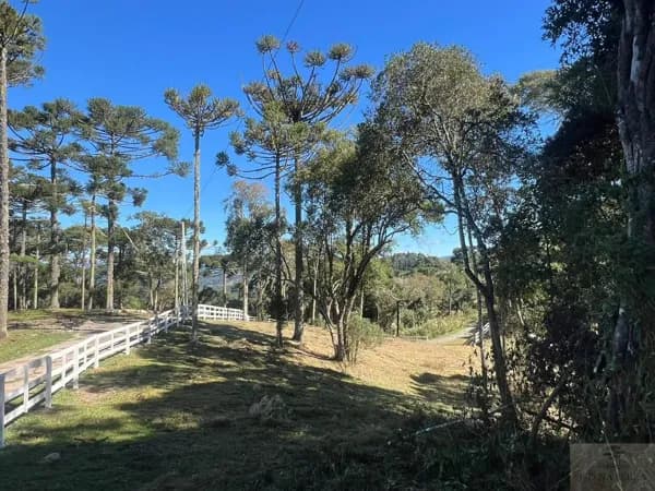 Chácara em Interior, Urubici/SC