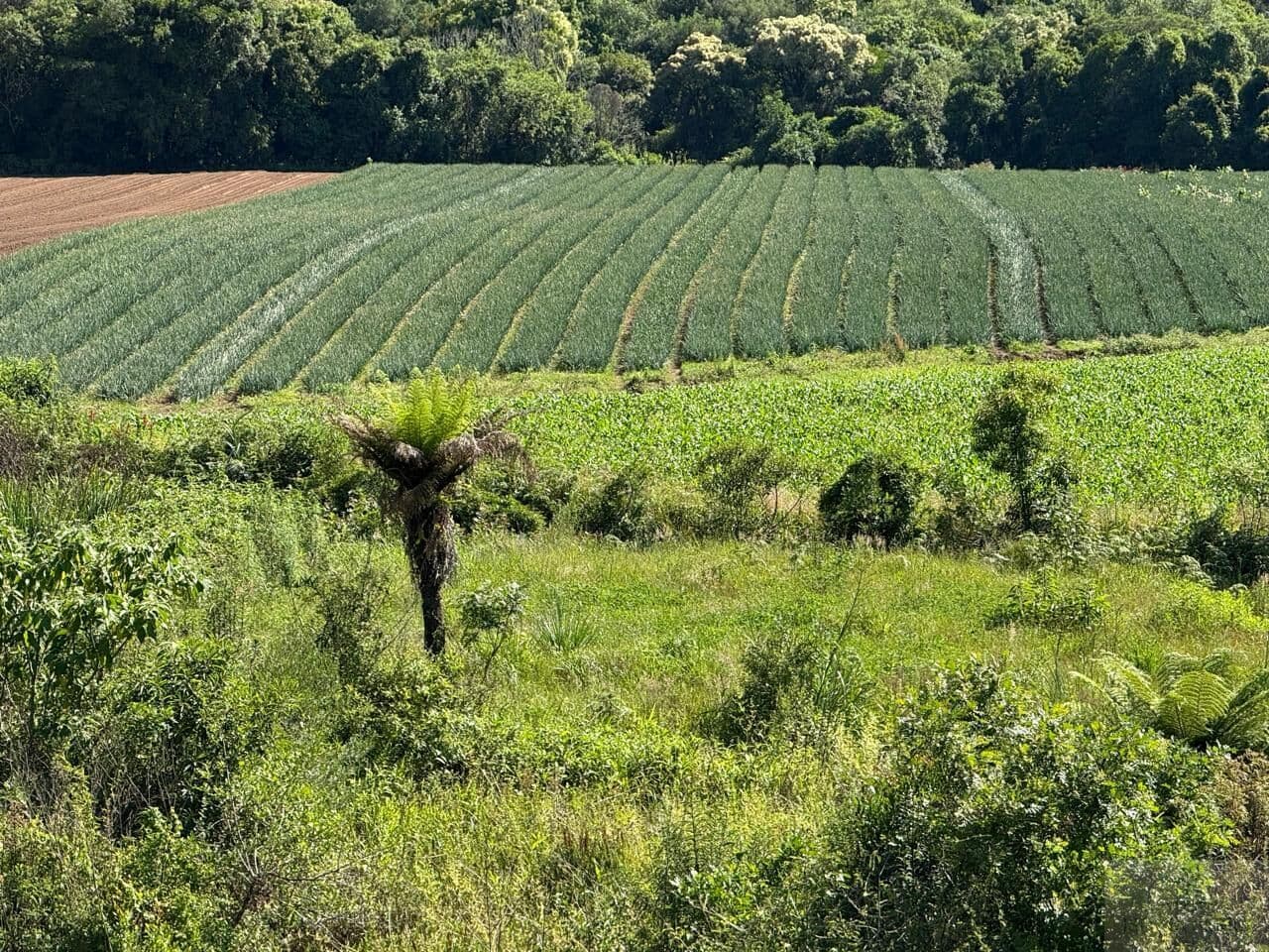 Lote/Terreno em Urubici - Santa Terezinha