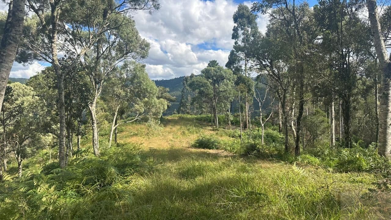 Lote/Terreno em Urubici - Interior