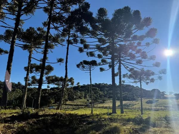 Lote/Terreno em Urubici - Morro da Igreja