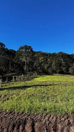 Fazenda/Sítios/Chácaras em Urubici - Interior