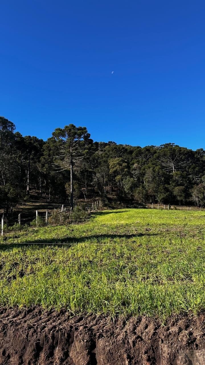 Fazenda/Sítios/Chácaras em Urubici - Interior