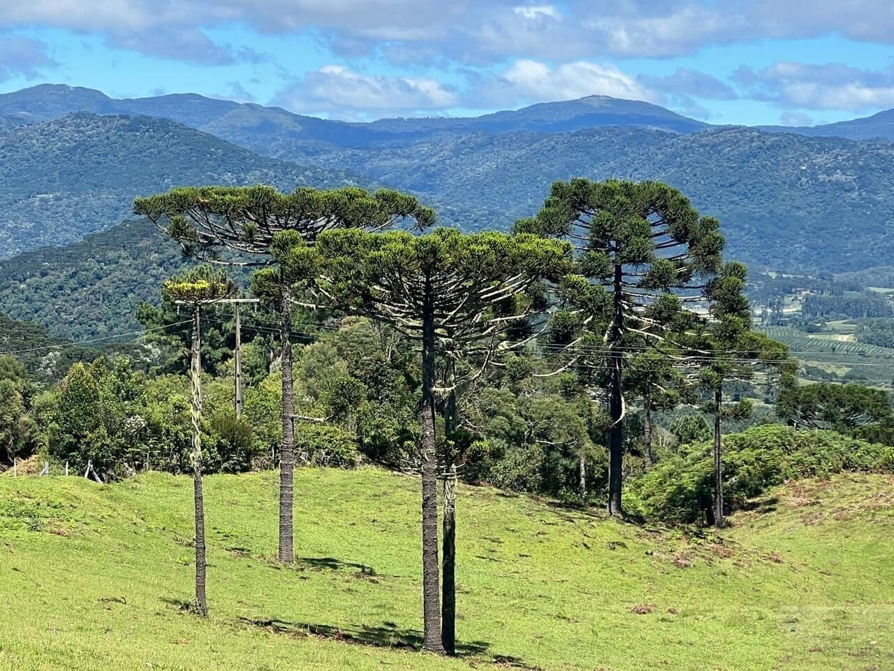 Fazenda/Sítios/Chácaras em Urubici - Interior