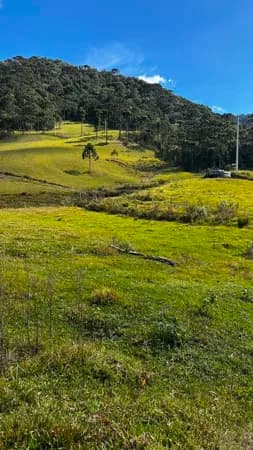 Fazenda/Sítios/Chácaras em Urubici - Interior