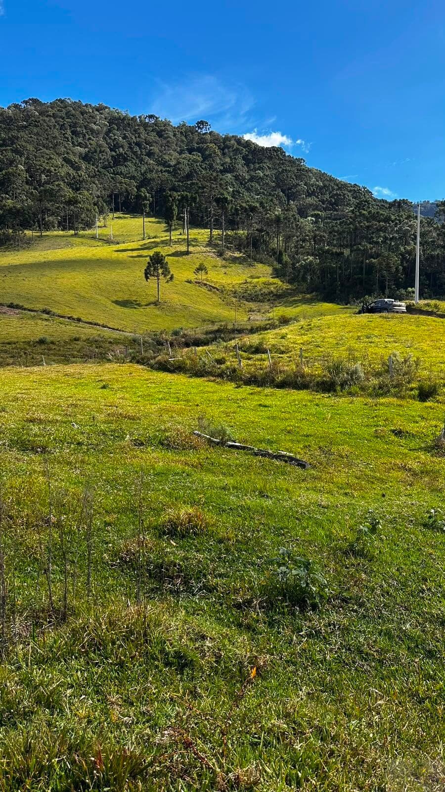Fazenda/Sítios/Chácaras em Urubici - Interior