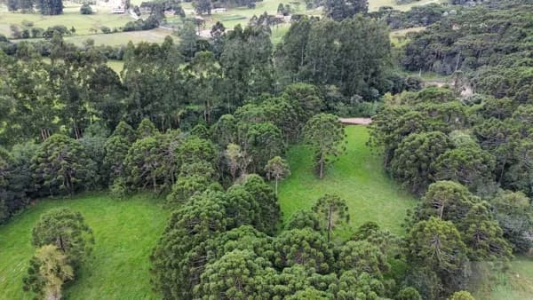 Fazenda/Sítios/Chácaras em Urubici - Interior