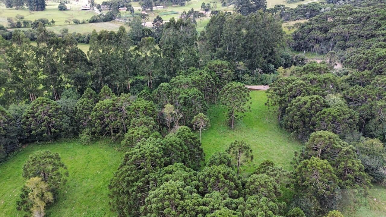 Fazenda/Sítios/Chácaras em Urubici - Interior