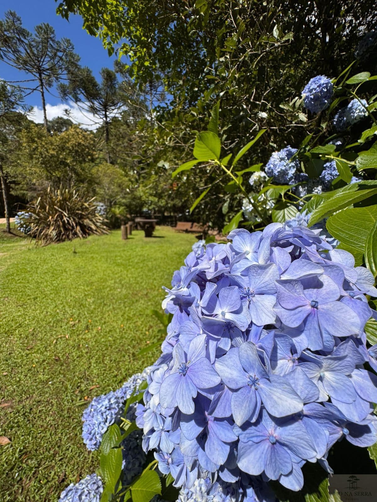 Lote/Terreno em Bom Retiro - Centro