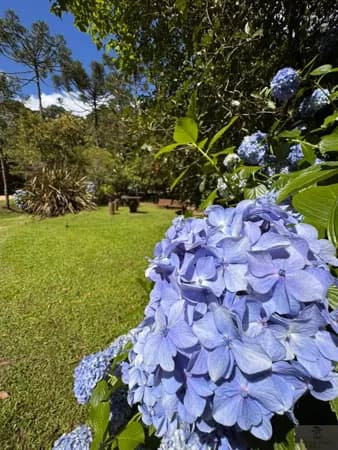 Lote/Terreno em Bom Retiro - Centro