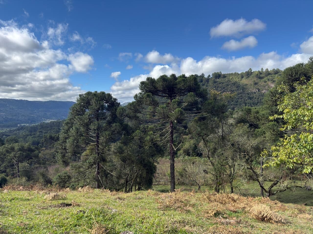 Fazenda/Sítios/Chácaras em Urubici - Interior