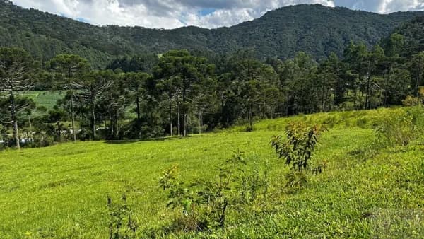 Lote/Terreno em Urubici - Interior