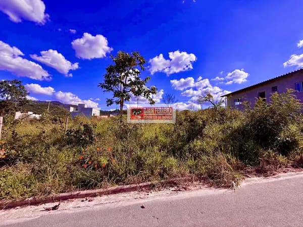 Lote 304m²